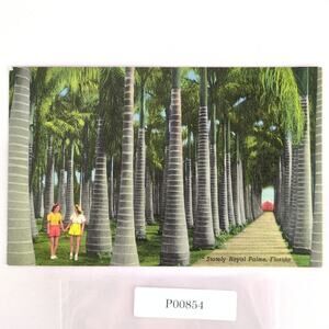 McKee Jungle Gardens Stately Royal Palms Florida 1940s Linen Postcard Vero Beach
